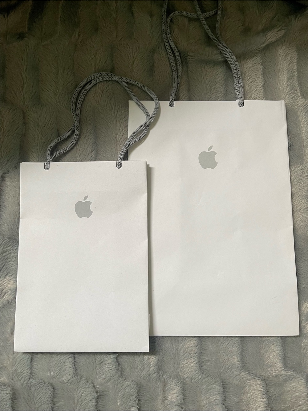 Apple White Paper Gift Bags with Silver Logo